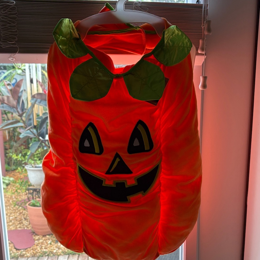 Fur baby Pumpkin Costume - Orange and Green